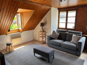 Top Floor Apartment with Mountain Views in the centre of Argeles Gazost Argelès-Gazost